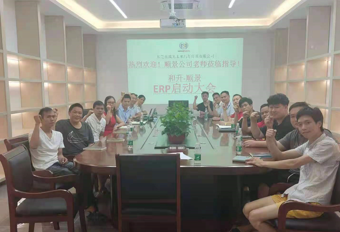 承前启后，智造先行!和升汽车照明公司携手乐鱼官方网站-乐鱼leyu(中国)软件打造数智管理